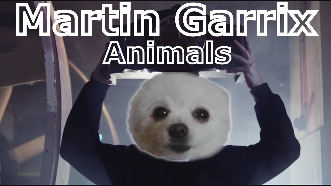 Gabe the Dog (Martin Garrix - Animals)